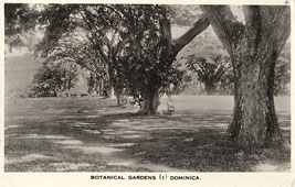 Roseau. Botanical Garden