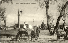 Panorama of Skopje, 1917