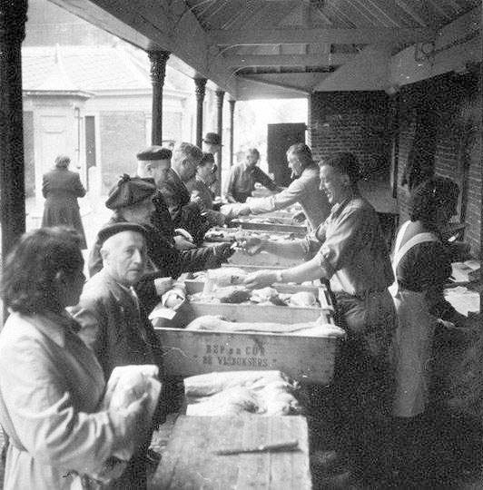 Alkmaar. Fish market, 1954
