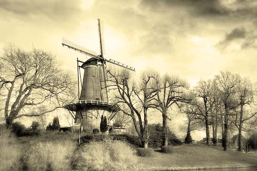 Alkmaar. Old Wind Mill