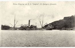 St. George's. Cocoa Shipping