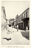Basse-Terre. Panorama of town street