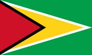 Flag of Republic of Guyana