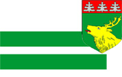 Flag of Johvi