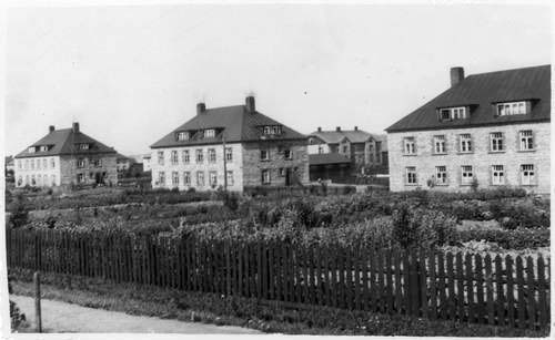 Kohtla-Järve. A working settlement