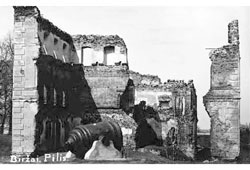 Birzai. Castle Ruins